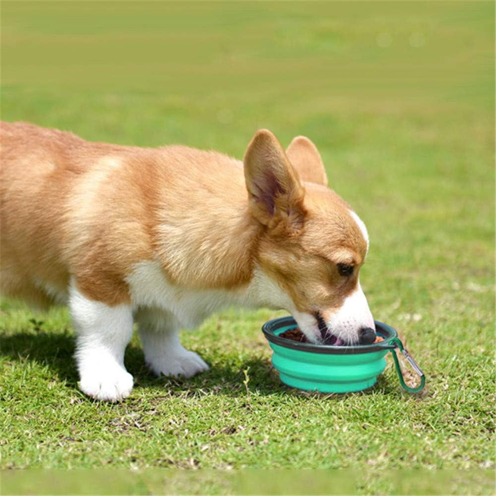 Collapsible Pet Bowl Set - Portable Silicone Feeder for Dogs and Cats, Foldable Travel Bowls for Food and Water, Ideal for Camping (Light Blue & Light Green)