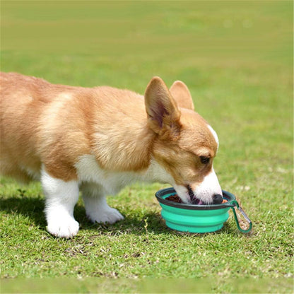 Collapsible Pet Bowl Set - Portable Silicone Feeder for Dogs and Cats, Foldable Travel Bowls for Food and Water, Ideal for Camping (Light Blue & Light Green)