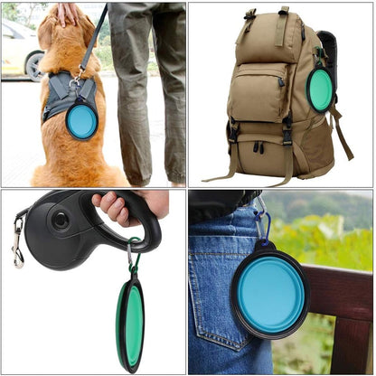 Collapsible Pet Bowl Set - Portable Silicone Feeder for Dogs and Cats, Foldable Travel Bowls for Food and Water, Ideal for Camping (Light Blue & Light Green)