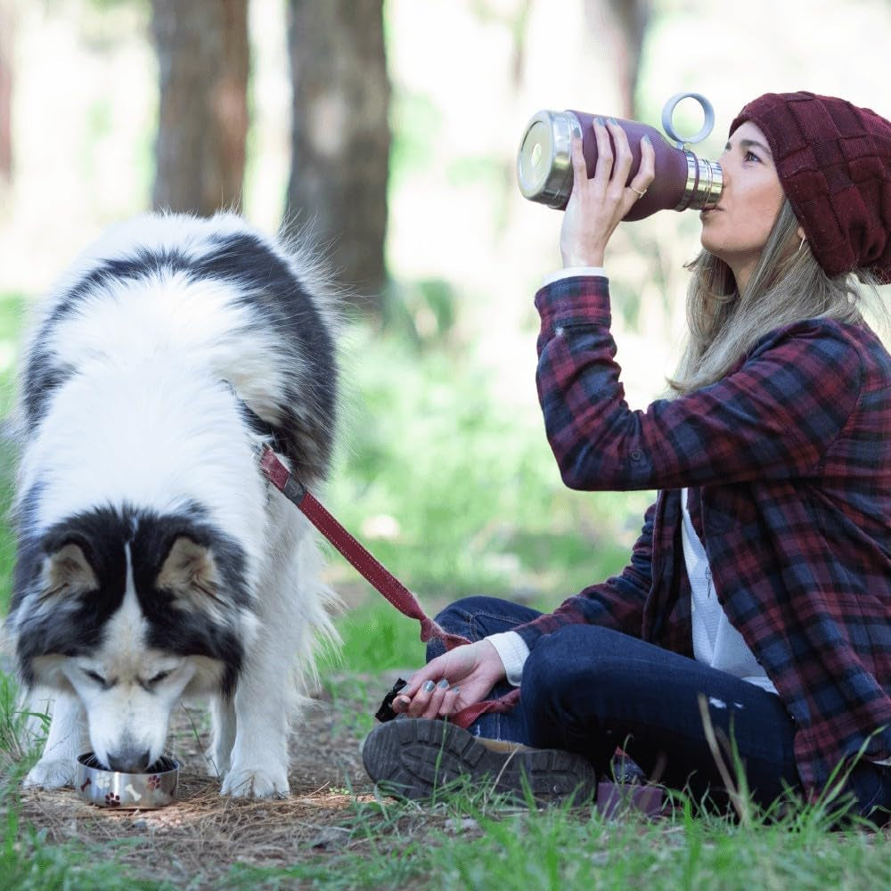 Stainless Steel Insulated Water Bottle with Removable Dog Water Bowl and Food Storage Compartment - Burgundy, 37 Oz