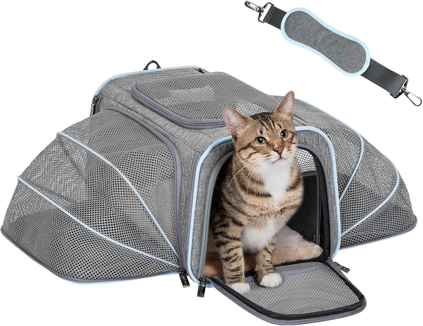 Expandable Soft-Sided Pet Carrier for Cats and Small Dogs, Airline Approved, Portable and Washable with Two Extensions for Pets Up to 9LB