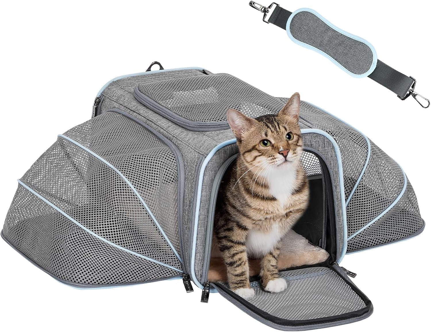 Expandable Soft-Sided Pet Carrier for Cats and Small Dogs, Airline Approved, Portable and Washable with Two Extensions for Pets Up to 9LB