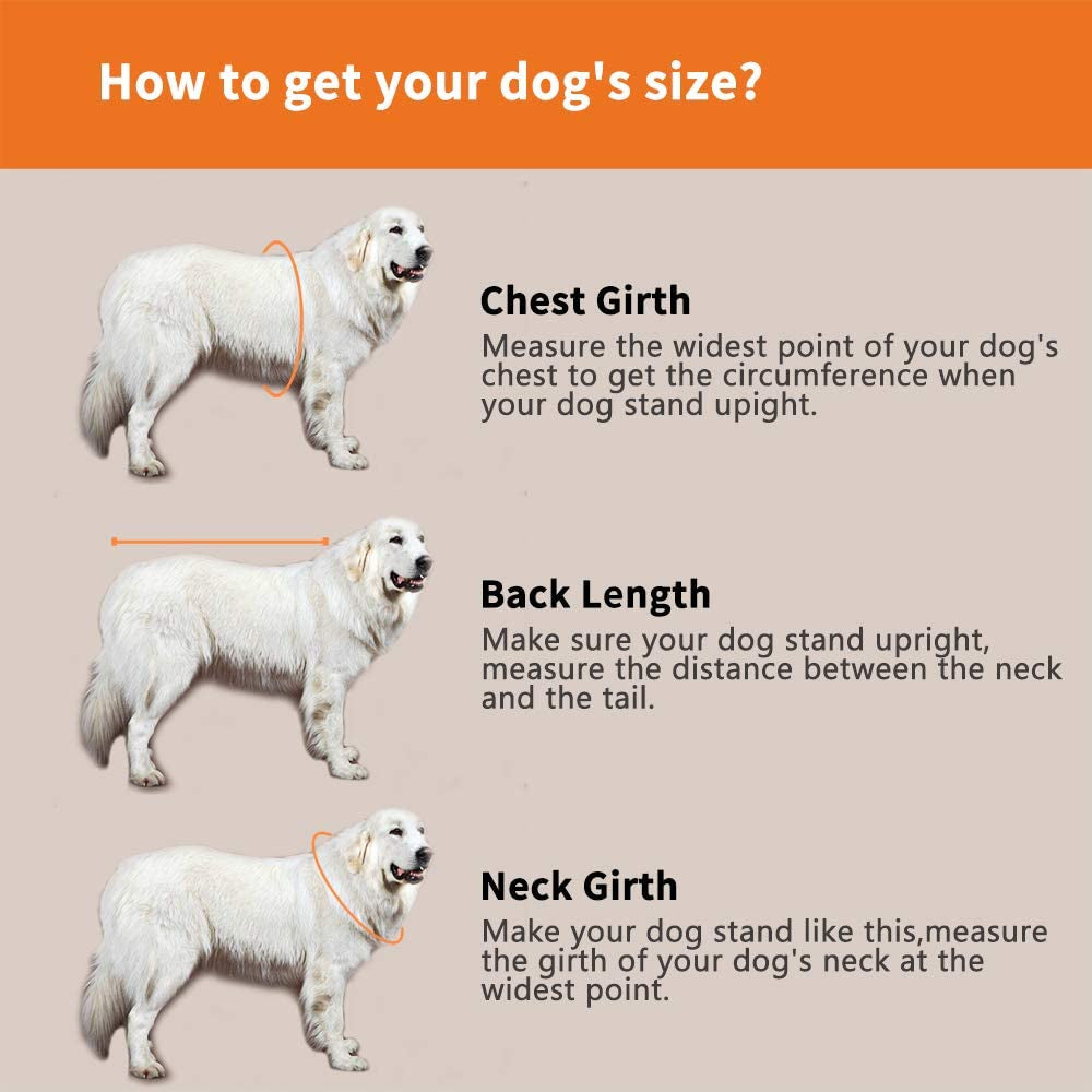 Premium Adjustable Dog Life Jacket - Shark Design for Short-Nosed Breeds (Pug, Bulldog, Poodle, and More) - Enhanced Version in Vibrant Orange (XS)