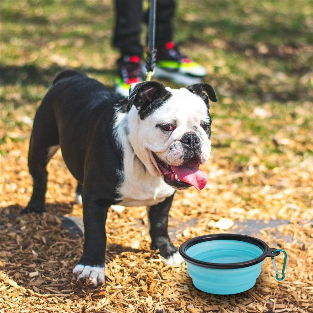 Collapsible Pet Bowl Set - Portable Silicone Feeder for Dogs and Cats, Foldable Travel Bowls for Food and Water, Ideal for Camping (Light Blue & Light Green)